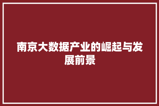 南京大数据产业的崛起与发展前景