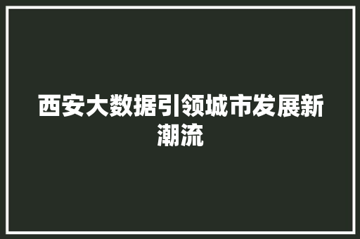 西安大数据引领城市发展新潮流  第1张