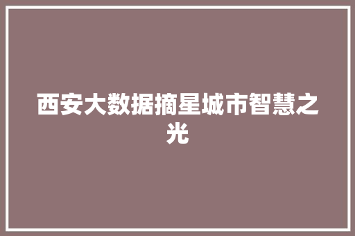 西安大数据摘星城市智慧之光  第1张