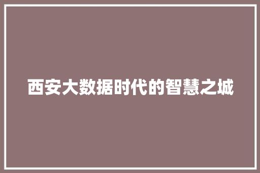 西安大数据时代的智慧之城  第1张