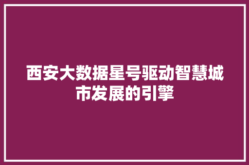 西安大数据星号驱动智慧城市发展的引擎