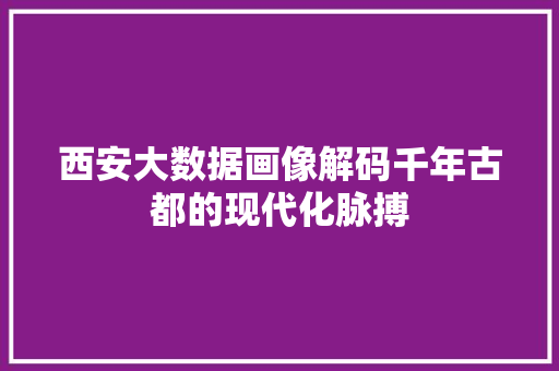 西安大数据画像解码千年古都的现代化脉搏  第1张