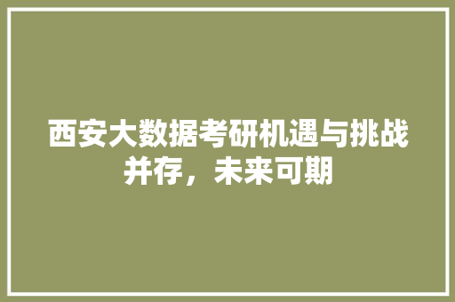 西安大数据考研机遇与挑战并存，未来可期