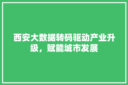 西安大数据转码驱动产业升级，赋能城市发展  第1张