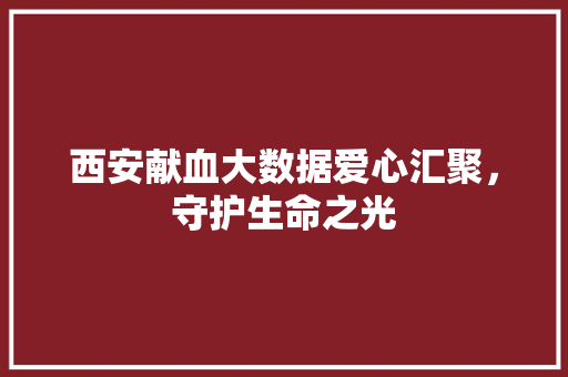 西安献血大数据爱心汇聚，守护生命之光