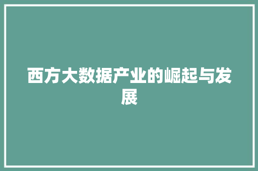 西方大数据产业的崛起与发展