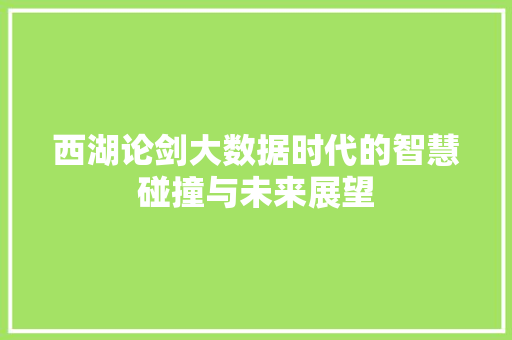 西湖论剑大数据时代的智慧碰撞与未来展望