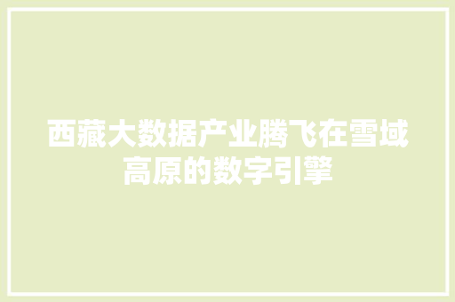 西藏大数据产业腾飞在雪域高原的数字引擎  第1张