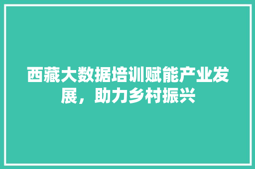 西藏大数据培训赋能产业发展，助力乡村振兴  第1张
