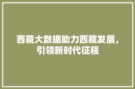 西藏大数据助力西藏发展，引领新时代征程  第1张