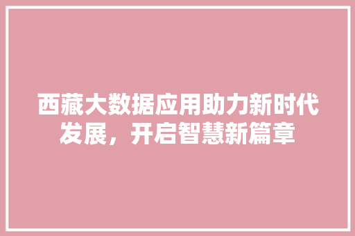 西藏大数据应用助力新时代发展，开启智慧新篇章  第1张