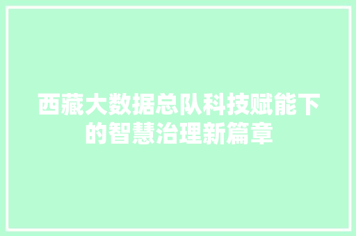 西藏大数据总队科技赋能下的智慧治理新篇章  第1张