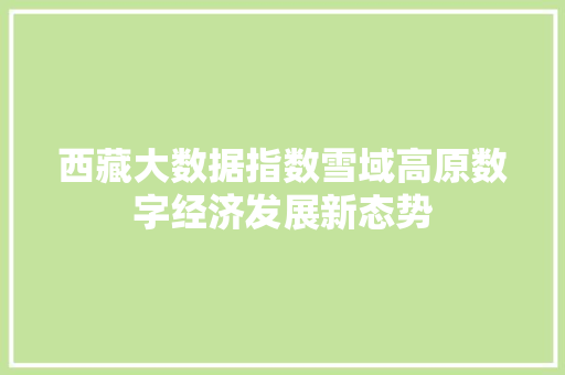西藏大数据指数雪域高原数字经济发展新态势  第1张