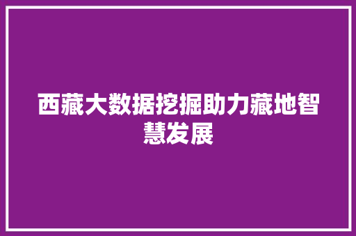 西藏大数据挖掘助力藏地智慧发展  第1张