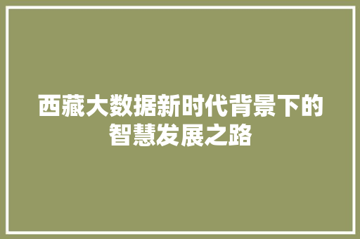 西藏大数据新时代背景下的智慧发展之路  第1张
