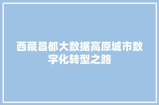 西藏昌都大数据高原城市数字化转型之路