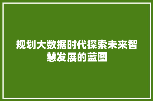 规划大数据时代探索未来智慧发展的蓝图  第1张