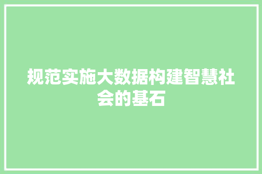 规范实施大数据构建智慧社会的基石