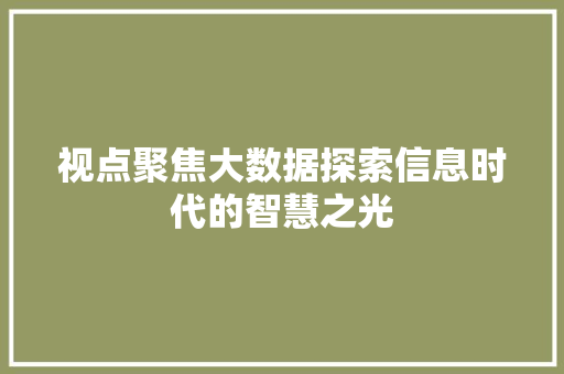 视点聚焦大数据探索信息时代的智慧之光