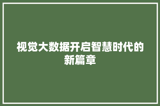 视觉大数据开启智慧时代的新篇章