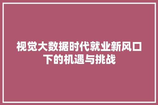 视觉大数据时代就业新风口下的机遇与挑战