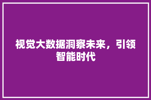 视觉大数据洞察未来，引领智能时代