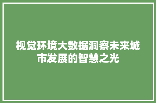 视觉环境大数据洞察未来城市发展的智慧之光