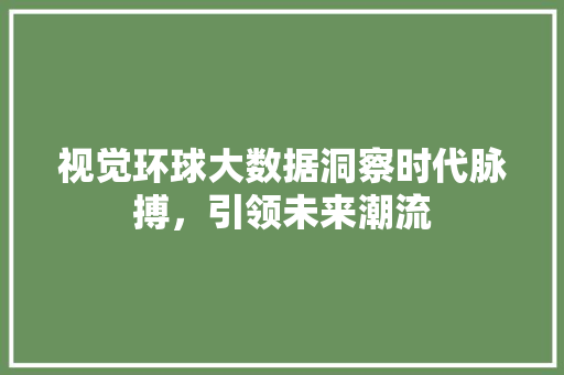 视觉环球大数据洞察时代脉搏，引领未来潮流