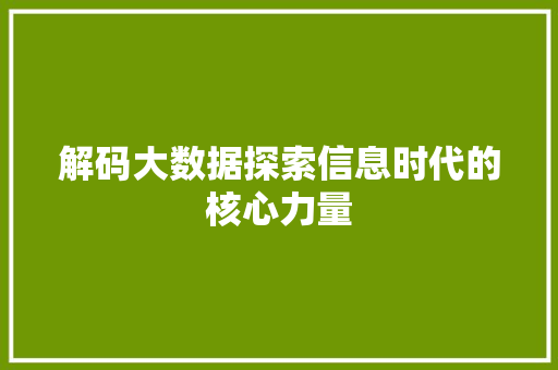 解码大数据探索信息时代的核心力量  第1张