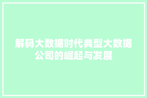 解码大数据时代典型大数据公司的崛起与发展
