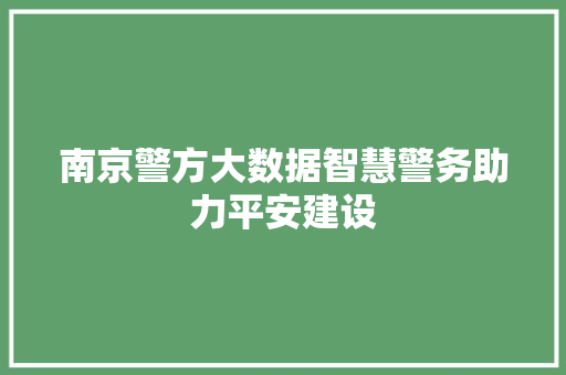 南京警方大数据智慧警务助力平安建设  第1张