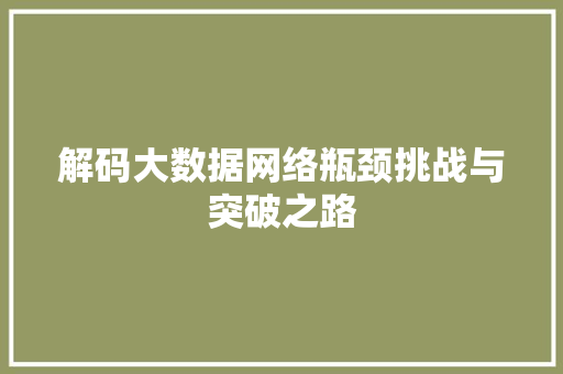 解码大数据网络瓶颈挑战与突破之路  第1张