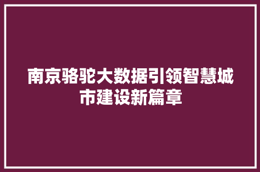南京骆驼大数据引领智慧城市建设新篇章