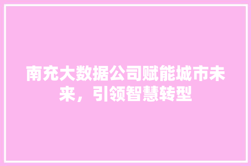 南充大数据公司赋能城市未来，引领智慧转型  第1张