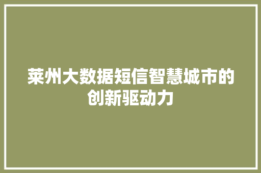 莱州大数据短信智慧城市的创新驱动力