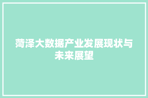 菏泽大数据产业发展现状与未来展望  第1张