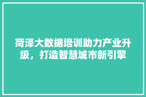 菏泽大数据培训助力产业升级，打造智慧城市新引擎  第1张