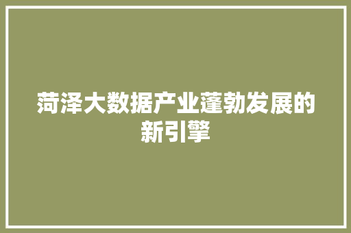 菏泽大数据产业蓬勃发展的新引擎  第1张
