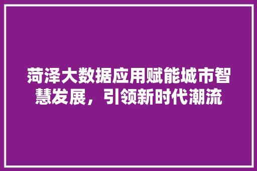 菏泽大数据应用赋能城市智慧发展，引领新时代潮流  第1张