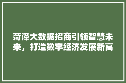 菏泽大数据招商引领智慧未来，打造数字经济发展新高地