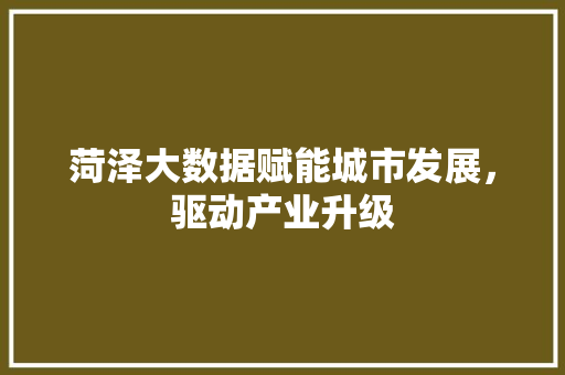菏泽大数据赋能城市发展，驱动产业升级