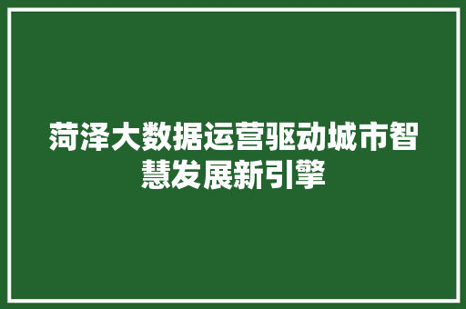 菏泽大数据运营驱动城市智慧发展新引擎