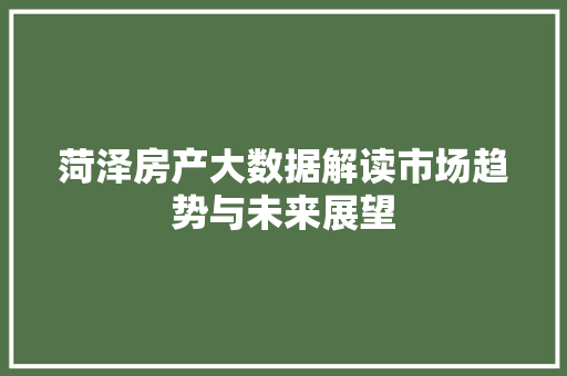 菏泽房产大数据解读市场趋势与未来展望