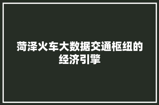 菏泽火车大数据交通枢纽的经济引擎