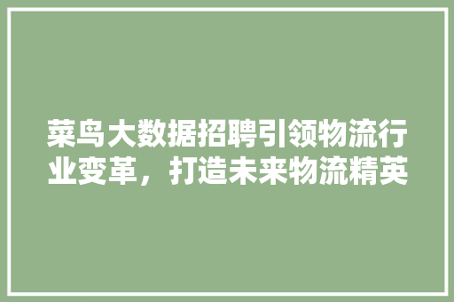 菜鸟大数据招聘引领物流行业变革，打造未来物流精英团队