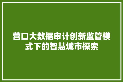 营口大数据审计创新监管模式下的智慧城市探索  第1张