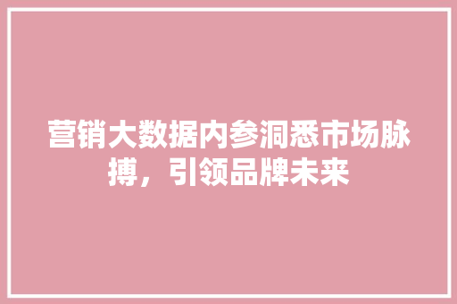 营销大数据内参洞悉市场脉搏，引领品牌未来