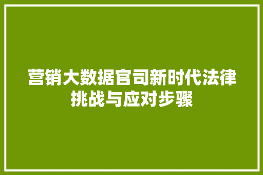 营销大数据官司新时代法律挑战与应对步骤