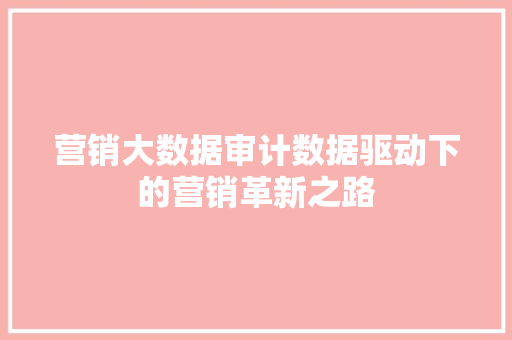 营销大数据审计数据驱动下的营销革新之路  第1张