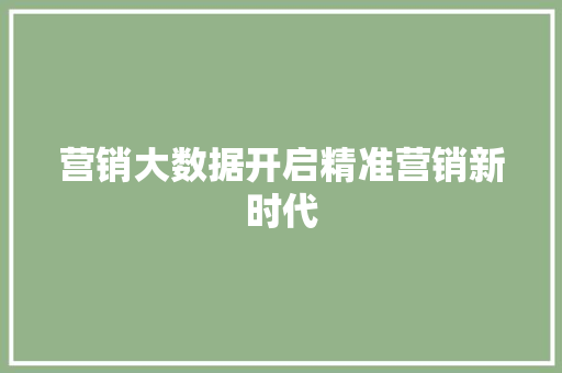 营销大数据开启精准营销新时代  第1张